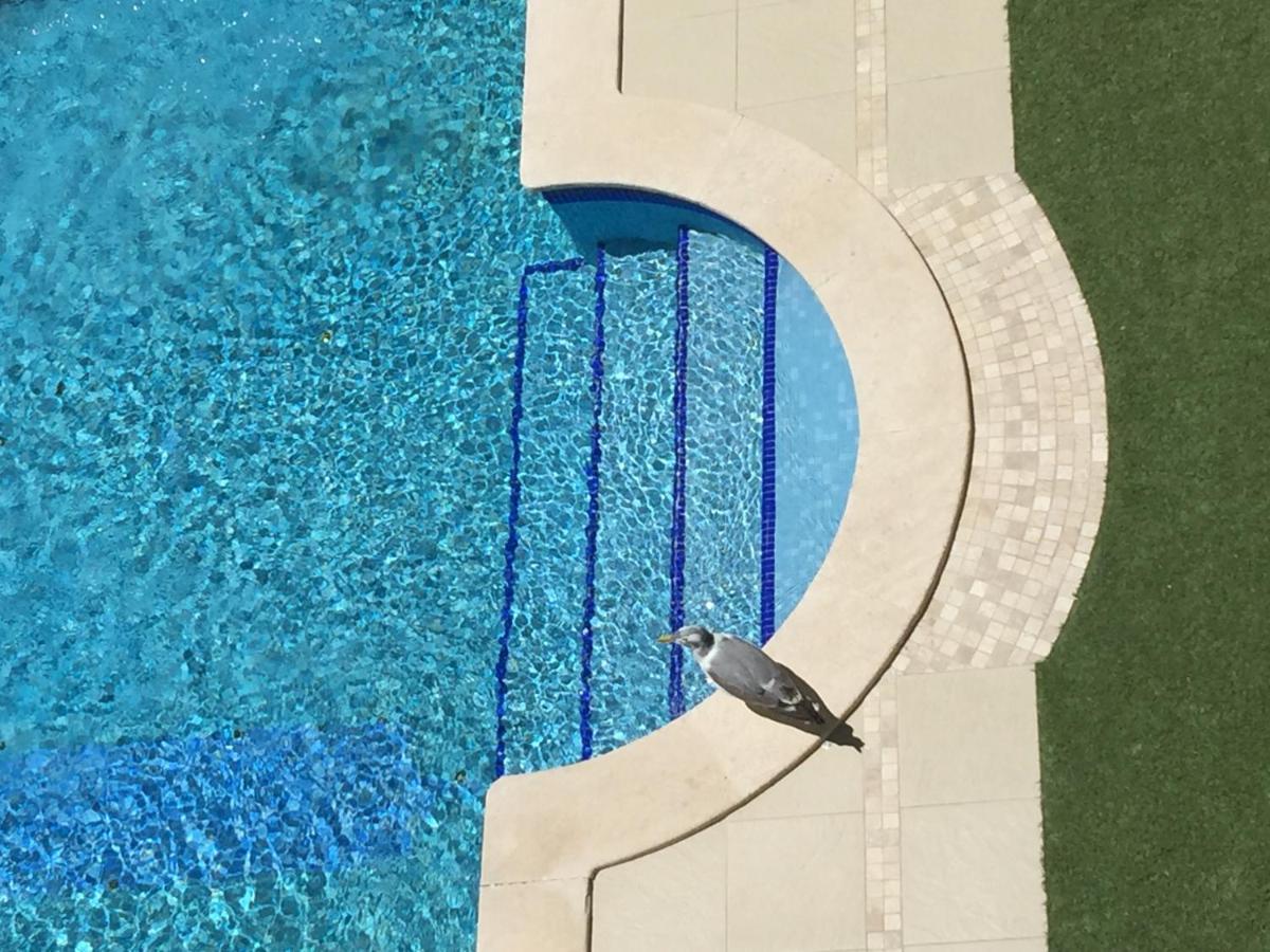 3 Min Walking To Peneco Beach Albufeira At Sol A Sul Apartments Екстериор снимка